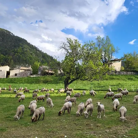 בית נופש La Bergerie Du Grand Tilleul Val-de-Chalvagne