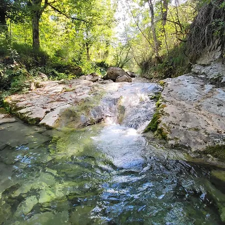La Bergerie Du Grand Tilleul *